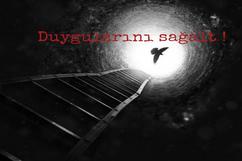 Blue Lotus Akademi / Holistik Şifa-Duygularını Sağalt