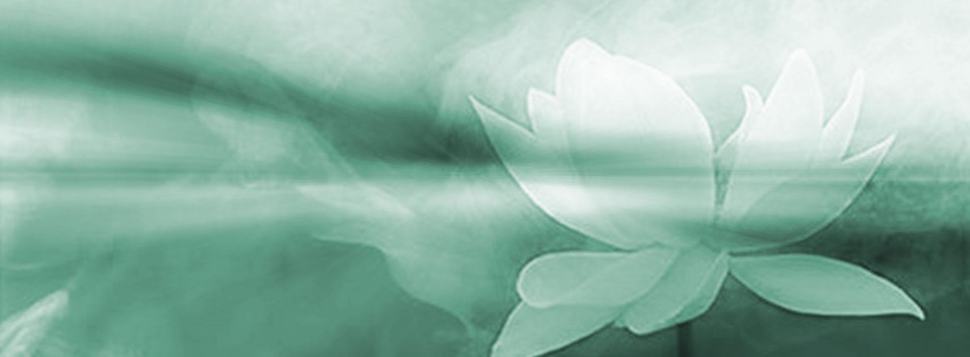 Blue Lotus Akademi / Holistik Şifa
