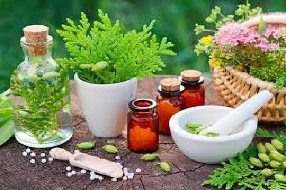 Blue Lotus Akademi / Holistik Şifa-HOMEOPATİ