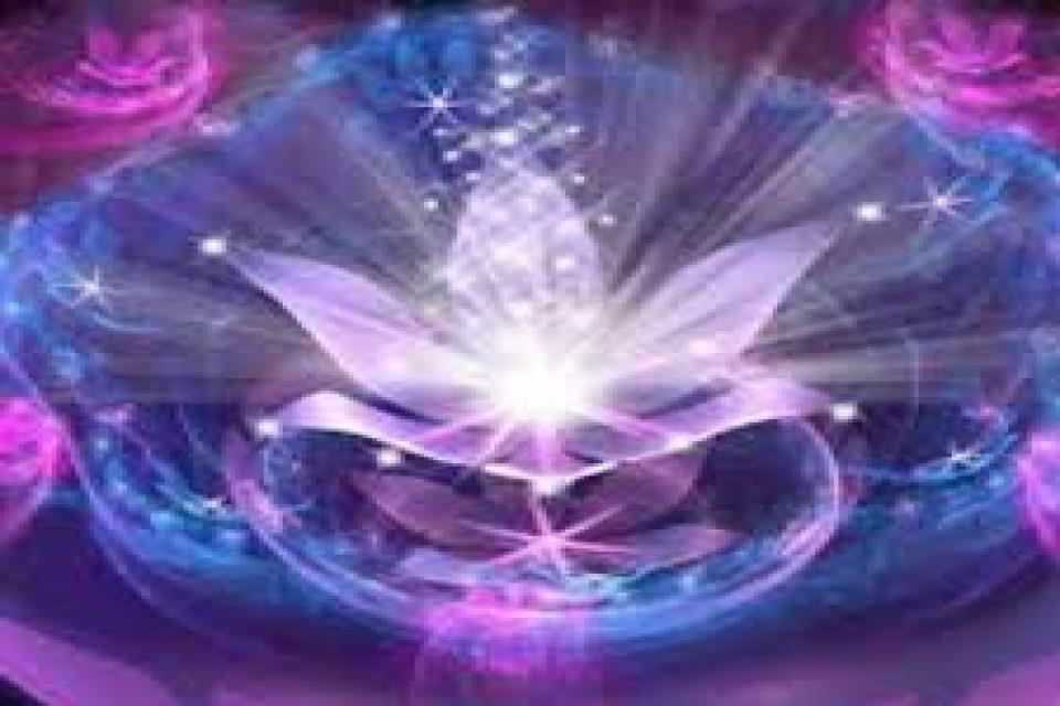 Blue Lotus Akademi / Holistik Şifa-KARUNA Kİ REİKİ
