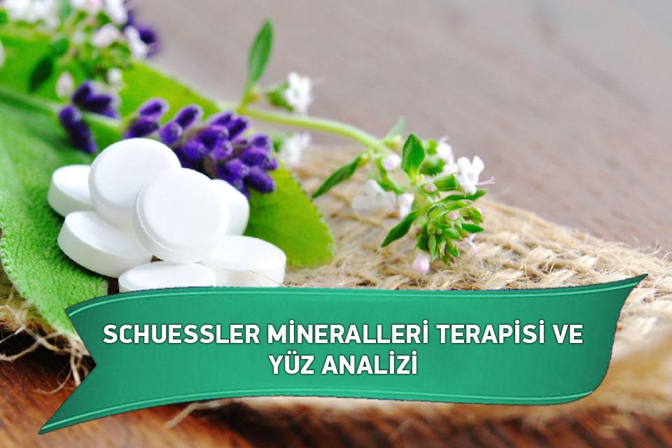 Blue Lotus Akademi / Holistik Şifa-SCHUESSLER MİNERALLERİ TERAPİSİ VE YÜZ ANALİZİ
