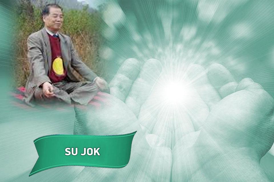 Blue Lotus Akademi / Holistik Şifa-SU JOK
